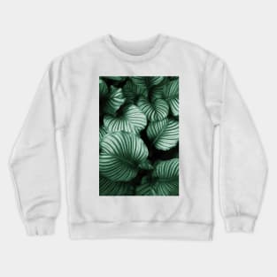 Tropical Lush Palm Leaves Crewneck Sweatshirt